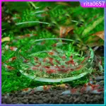 GLASS FISH TANK AQUARIUM FOOD FEEDING DISK FISH SHRIMP BOTTO