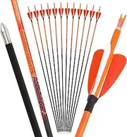 32 inch Pure Carbon Arrow Spine 300-1000 Target Practice Arrow Hunting Arrows Straightness 0.06" for Compound & Recurve Bow Pack of 6/12