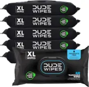 DUDE Wipes Flushable Wipes Dispenser (6 Packs 48 Wipes Each) Unscented Wet ...