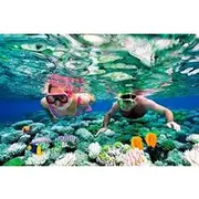 Save 9.99%! Riviera Maya Snorkeling