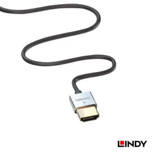 LINDY林帝 41669 鉻系列 HDMI線 30公分 2.0 4K/60MHz極細影音傳輸線 0.3M TYPE-A