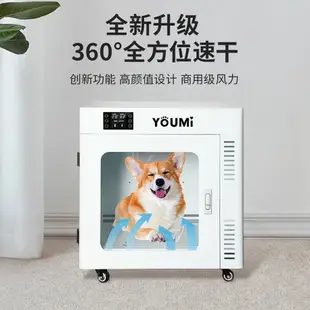 【台灣公司可開發票】YOUMI悠米寵物烘干箱家用吹水機吹風箱貓咪狗狗烘干機中型犬家用