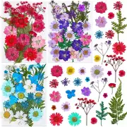 100 PCS Pressed Dried Flowers for Resin Molds, Natural Dried Flower Herbs Kit fo