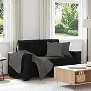 Loveseat Sofa, Black Velvet Upholstery, 120 cm Compact Design, Ideal for Living Room, Bedroom, Apartment, Cozy Spaces