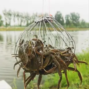 ✨優選✨ 新款螃蟹籠折疊河蟹鈎海蟹圈開閤籠魚籠網蟹網釣螃蟹神器