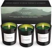 Set of Three Scented Candles for Men | Masculine scents of Bergamot & Sandalwood. Leather & Mahogany, Tobacco & Vanilla | 3 x Natural Soy Wax Candle for Men (5.6oz)