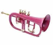 3 Valve Flugelhorn Chrome Bb Pitch with including mouthpiece and hardcase Band,