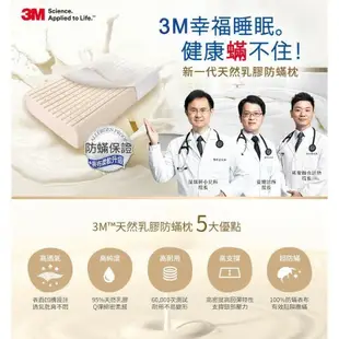 【3M】 防螨天然乳膠枕-(標準透氣型/工學助眠 型/加高支撐型) 一入 內附防螨枕套