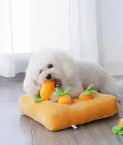 Pulling Out Carrots Dog Toys Squeaky Toy Pets Gnawing Toys Strawberry Pet