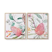 2 Pack Natives Framed Canvas