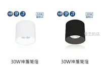 在飛比找樂天市場購物網優惠-燈飾燈具【燈王的店】舞光 LED 30W 筒燈 白框/黑框 