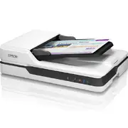 Epson DS-1630 Workforce Flatbed Feeder Document Scanner White
