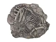 Dinosaur fossil replica (T-rex)