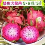 愛蜜果 雙色火龍果5-6入禮盒(約5斤/盒)