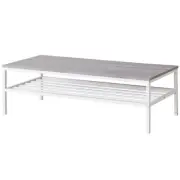DORIS squirrel table center table stylish with storage shelf computer desk 216