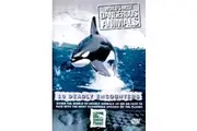 World's Most Dangerous Animals - 10 Deadly Encounters DVD Preowned: Disc Excellent