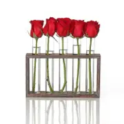 Minimalist Hydroponic Glass Vase with Wooden Frame for Coffee Shop Decor