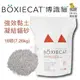🚛免運🚛美國頂級  BOXIECAT 博識貓 益生菌強效黏土凝結貓砂 16磅 28磅『BABY寵貓』