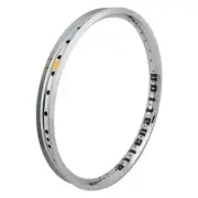 Alienation Vandal 20” 36H Rim