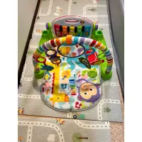 在飛比找蝦皮購物優惠-二手Fisher price 費雪 可愛動物鋼琴健身器/健力