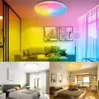 30W Smart Ceiling Light LED Downlights APP WIFI Bluetooth Dimmable Oyster Lights