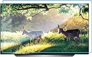 [KELUNIS] 32-75 Inch TV Screen Protector, Frosted Anti Glare/Anti Blue Light/Dustproof Filter Film, Relieve Eye Strain for Sharp, Sony, Samsung, Hisense,75" (1645 * 931)