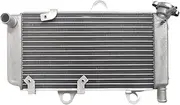 Radiator Grille Fit For Yamaha XT660 R 2004-2014 5VKE246120 Radiator Motorcycle Radiator 5VK-E2461-20 Engine Cooling Cooler Engine Radiator