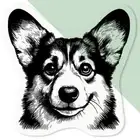 'Welsh Corgi Portrait' Clear Decal Stickers (DC049873)