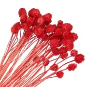60 Pcs 16 Inch Dried Flowers for Vase Mini Pine Ball Flowers Red(Stem)