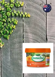 Scotts Osmocote 500g Pots, Planters & Indoors Controlled Release Fertiliser