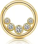 Sugical Steel 16g Gold Daith Hinged Rings Helix Piercing Hoop Earrings Rook Trag