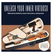 Cecilio 4/4CNV-300 Solid wood Violin W/all Necessities To Learn/Play Violin new