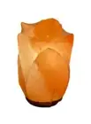 Himalayan Salt Lamp Flower Includes Power Cord + Globe