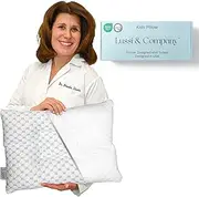 Lussi & Company Toddler Pillow 2 Year Old-13x19 Toddler Pillow with Pillowcase-Toddler Pillows for Sleeping-Kids Pillow-Travel Pillows-Mini Pillow-Ergonomic Pillows for Kids-Patent Pending