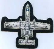 Fairchild A 10 Warthog Thunderbolt Tank Squadron Pilot Crew Jacket Patch CAS Air
