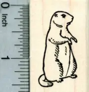 Groundhog Day Rubber Stamp, Facing Right D31614 WM