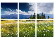 6x Willow & Silk Swiss Alps In The Summer Landscape Wall Art/Canvas Decor Set
