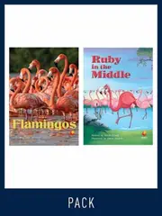 Flying Start Guided Reading Level 16, Pack 2
