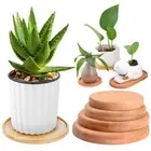 Planters Pot Stander Round Square Bamboo Tray Hexagon Rectangle Flowerpot Base