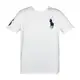 Ralph Lauren 年度熱銷經典刺繡大馬男款T恤(４色可選）(S／M／L）_廠商直送
