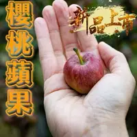 在飛比找樂天市場購物網優惠-【緁迪水果JDFruit】台灣福壽山-新品種 櫻桃蜜蘋果(6