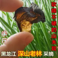 在飛比找淘寶網優惠-東北特產純黑木耳軟糯野山柞木上生長乾貨黑龍江無硫250g散裝