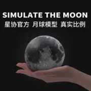 Astro Reality Simulation Moon 5/10cm 3D Print Astronomy Science Model Boxed Gift