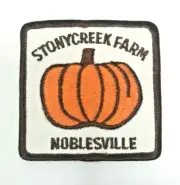 PATCH GSA Girl Scouts Stonycreek Farm Noblesville Pumpkin Fall Brown