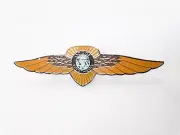 For Vintage / Classic Dodge Brothers Winged Radiator Emblem Badge #18A4