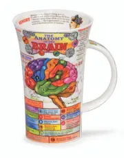 Dunoon - Glencoe Mug - The Anatmony of the Brain