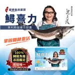 【沈文程有感代言】鱘熹力 100%鱘龍魚基因鑑定(30粒/盒)  +#100%純正公司貨