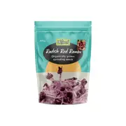 Radish Red Rambo Sprouting Seeds - 100g - Untamed Health