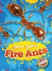 Fire Ants (Creepy Crawlies) by Schuetz, Kari