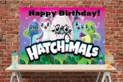 3x6 Hatchimals vinyl Birthday Banner